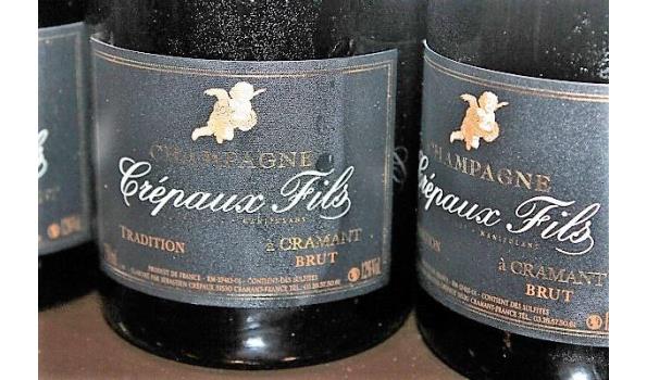12 flessen Champagne Crépaux Fils Brut